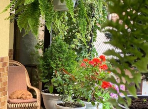 Apartaments | Lviv City Center