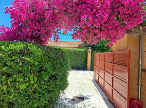 Holiday The Country Terrace Messenia Peloponnese | Pylos-Nestoras