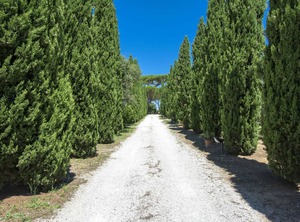 Podere Tre Termini | Cecina