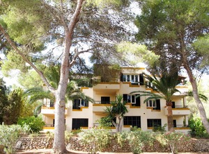 Los Pinos | Cala Murada