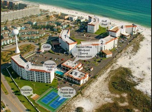 Gulf Shore | Harold