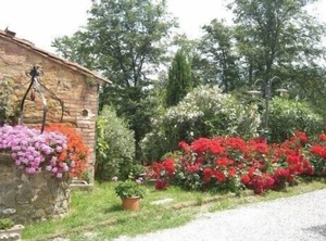 Agriturismo Poggio Pistolese | Montaione