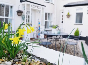 Accommodation Shaldon Teignmouth | Shaldon
