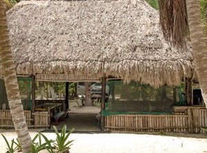 Acampar Cabañas Costa Del Sol Sian | Punta Allen