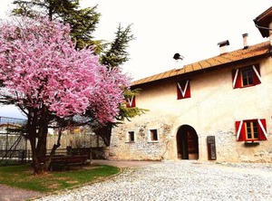 Agritur | Casez