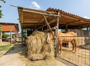 Agriturismo La Buona Terra | Ospedaletto di Pescantina