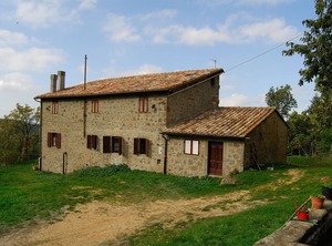 Stay Surrounded | Vivo dʼOrcia