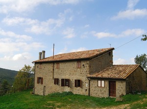 Stay Surrounded | Vivo dʼOrcia