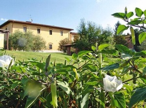 Poggio Al Sole Vinci Type | Vinci