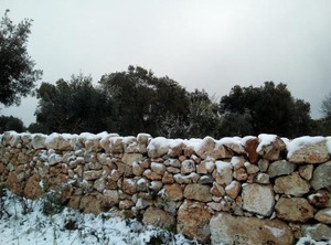Agriturismo Villa Coluccia | Martano