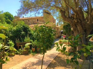 Agroturismo Son Penyaflor | Alaro