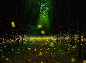 Akitakata Stay | Akitakata