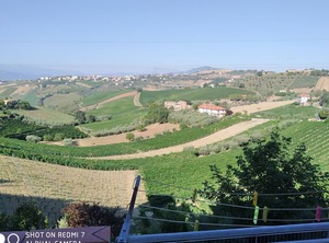 Albachiara | Offida