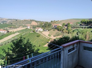 Albachiara | Offida