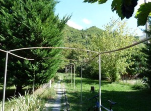 Gambetta | Digne-les-Bains