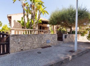 Alga Marina | Son Serra de Marina
