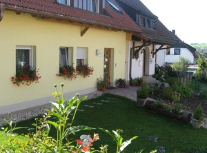Allergy Stars | St. Peter im Schwarzwald