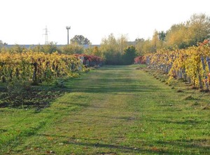 Alloggio | Formigine