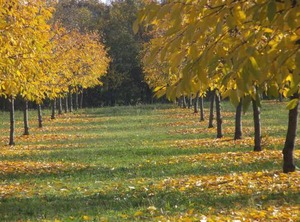Alloggio | Formigine
