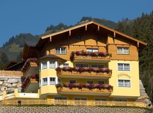 Alpenstern | Grossarl
