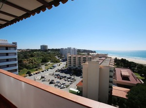 The Beach | Torralta