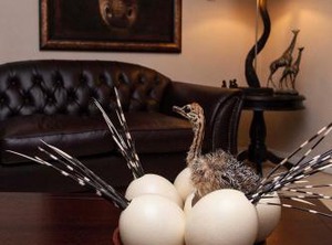 Lodge | Walmer