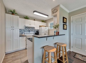 Serene Seashell | Port Aransas