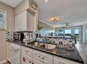 Serene Seashell | Port Aransas