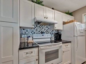 Serene Seashell | Port Aransas