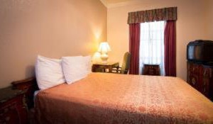 Amsterdam Hostel | Lower Nob Hill