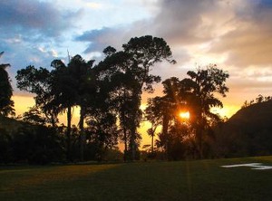 Ancoombra Tea Estate Bungalow | Ankumbura Pallegama
