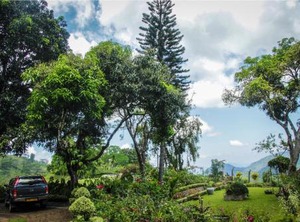 Ancoombra Tea Estate Bungalow | Ankumbura Pallegama