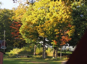 Glamping Experience New York | South Hartford