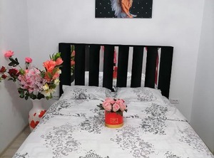 Camere | Chiajna