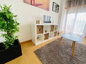 Apartamento Coselhas | Arco Pintado