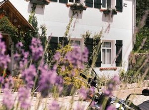 Apartamenty Sudeckie Nad | Podgorzyn