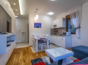 Apartman Gavrilov | Zlatibor