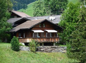 Marmotte Chalet | Lauenen