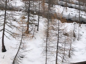 Appartamento Blue Moon | Cervinia