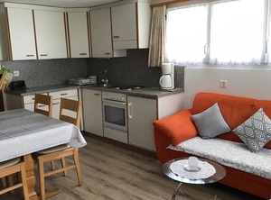 Adler | Saas-Fee