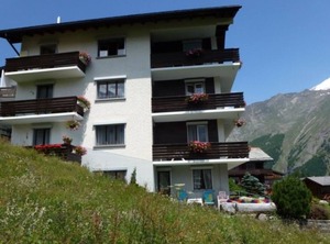 Adler | Saas-Fee