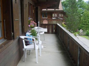 Arnika | Lenk