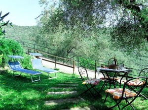 Asplanato | Lecchiore