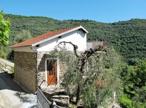 Asplanato | Lecchiore