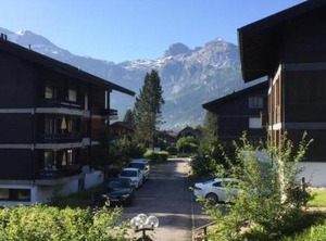 Beryll | Lenk