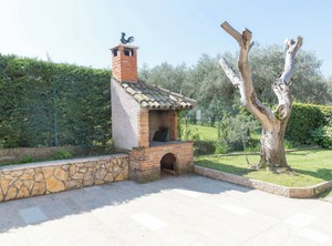 Cisano San Vito Di Bardolino | Bardolino