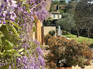 Cisano San Vito Di Bardolino | Bardolino