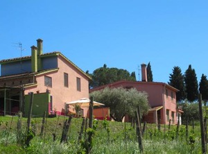 Locazione Turistica Conte Francesco | Certaldo