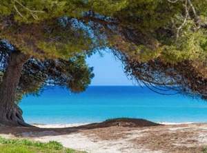 Countess Of The Bay Garden | Alcudia