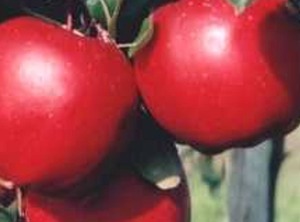 The Fruit Farm | Hollern-Twielenfleth